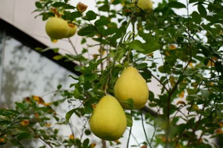 1760061387526302PzU8.png 1760061387526302PzU8.png