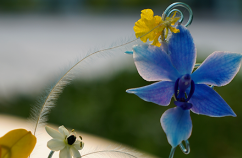 1760061403416374iPjr.png 1760061403416374iPjr.png