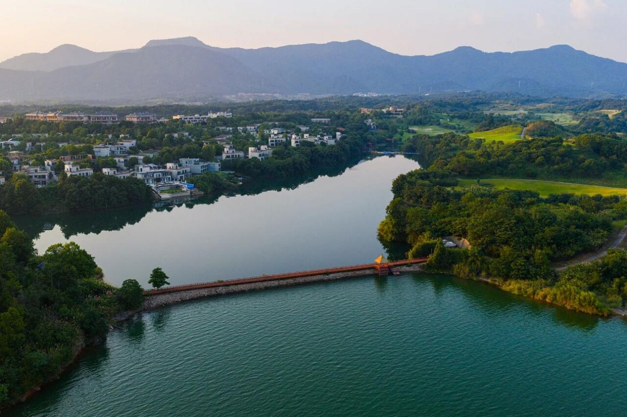 1765245908738763wEWo.png 1765245908738763wEWo.png