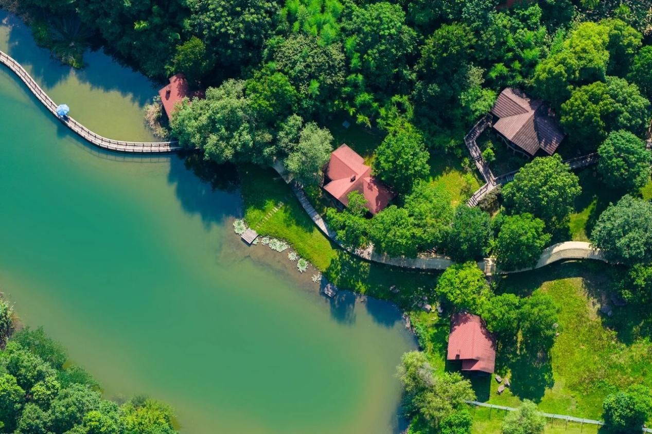 1765245984445367pePR.png 1765245984445367pePR.png