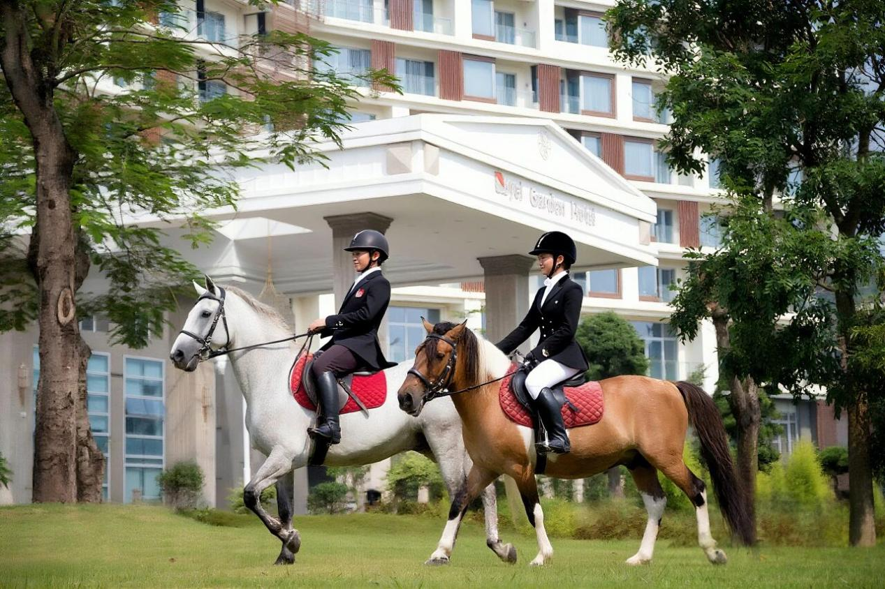 17658528539517752ZeN.png 17658528539517752ZeN.png