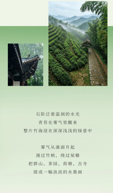 1782269338850727Rsf5.png