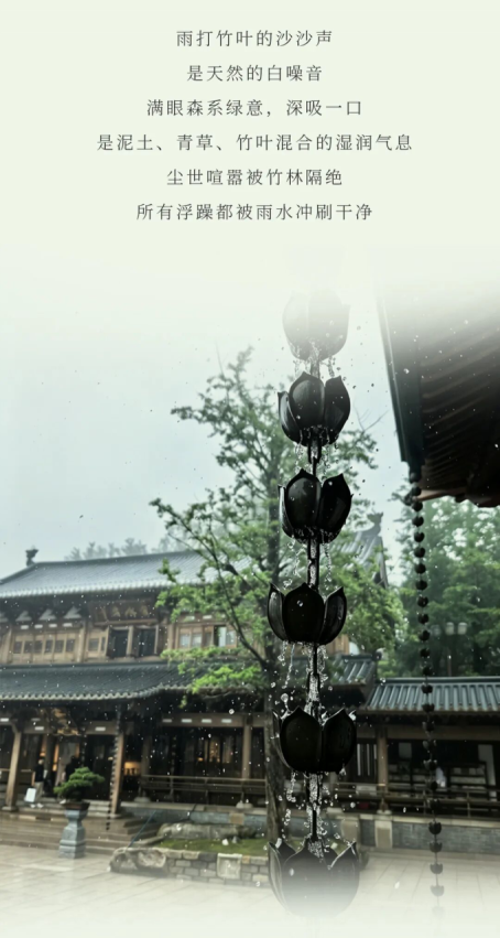 1782269435920291X0Hk.png