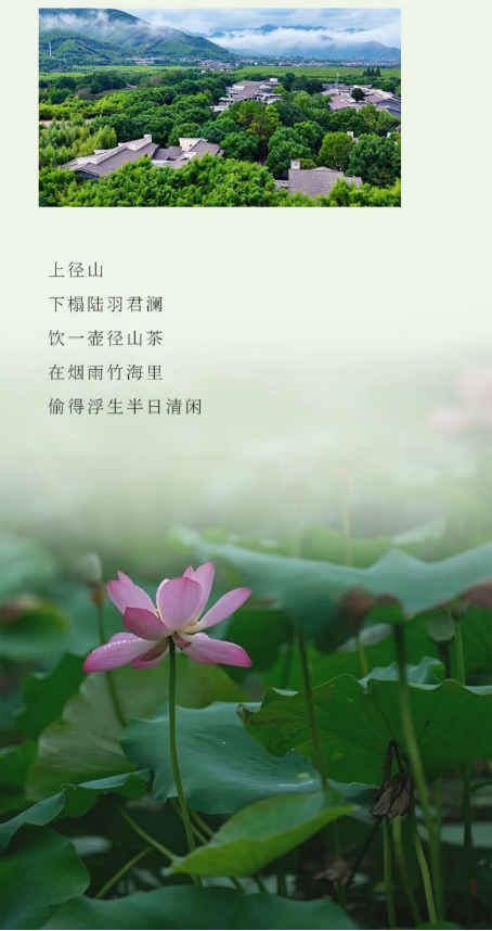 1782269465531638UfPp.png