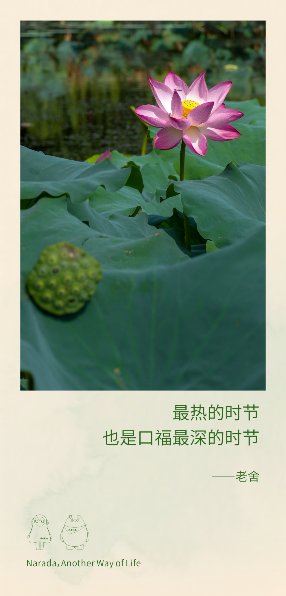 1782895034941827Iv4R.png